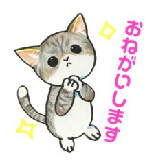 [LINEスタンプ] おねがい♡スタンプ 