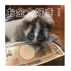 [LINEスタンプ] ノロマな道化師の愉快な日々 