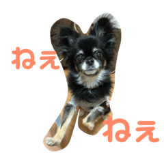 [LINEスタンプ] RinRanSabubu 