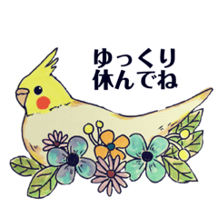 [LINEスタンプ] kikiの小鳥スタンプ•イラスト編