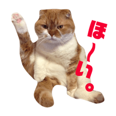 [LINEスタンプ] ぽんた こと 癒し家P師匠