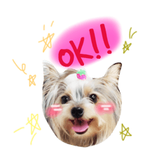 [LINEスタンプ] ポメキーな姫ちゃんその2 
