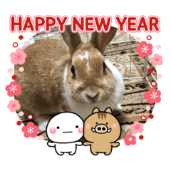 [LINEスタンプ] ラビのeveryday