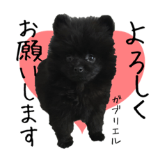 [LINEスタンプ] がっちゃんスタンプ第2弾