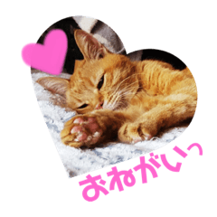 [LINEスタンプ] てっちゃんすたんぷ②