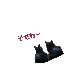 [LINEスタンプ] ぐっさんちの猫