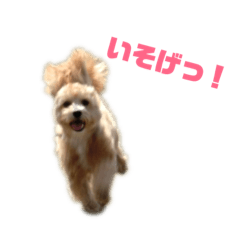 [LINEスタンプ] tononon