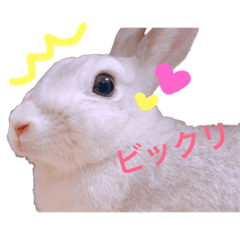 [LINEスタンプ] めろめろうさちゃん 