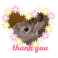 [LINEスタンプ] うさぎのフグちゃん②