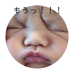 [LINEスタンプ] ひまたりあん【1】 fetchpriority=high