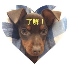 [LINEスタンプ] スタンプ オブ ベル 