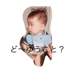 [LINEスタンプ] 日々のコタロー 