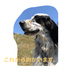 [LINEスタンプ] ろりおスタンプ1 