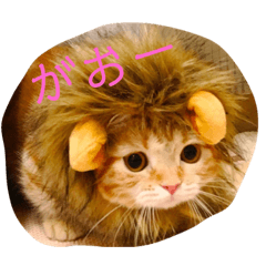 [LINEスタンプ] とるてさん2 