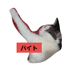 [LINEスタンプ] 我のぼんさん 