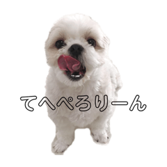 [LINEスタンプ] 仲良しスタンプ① 