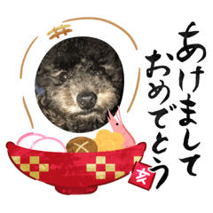 locoちゃんっっ