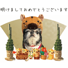 [LINEスタンプ] きなこスタンプ happy
