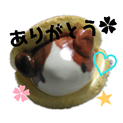 [LINEスタンプ] どら焼きモルモットのあむ 