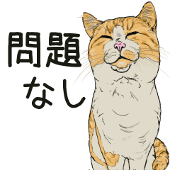 [LINEスタンプ] 保護猫 癒しスタンプ1
