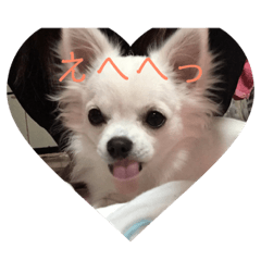 [LINEスタンプ] ましゅたんぐ7