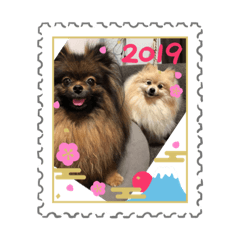 [LINEスタンプ] まーたん＆るぅたん 