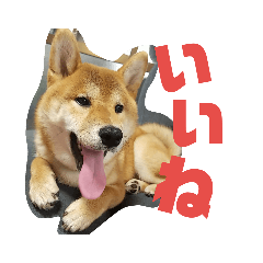 [LINEスタンプ] ふくぽん2 
