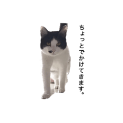 [LINEスタンプ] さぶとらまーる