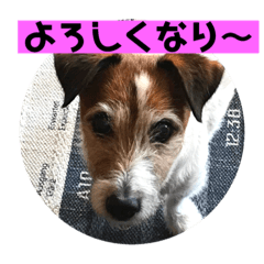 [LINEスタンプ] ぼく大吉です(^-^)/ 