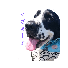 [LINEスタンプ] 聖砂未だよ全員集合 vol.1