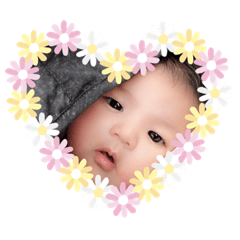 [LINEスタンプ] 紅葉スタンプ 