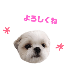 [LINEスタンプ] あいさつスタンプ① 