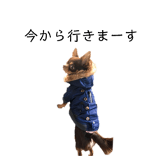[LINEスタンプ] Alexスタンプ 