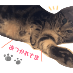 [LINEスタンプ] くぅねるず 