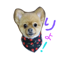 [LINEスタンプ] 明瞭簡潔