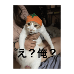 [LINEスタンプ] おそぱすたんぷ 