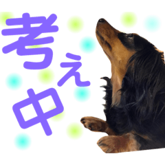 [LINEスタンプ] ポポとうめの日常1