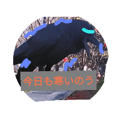[LINEスタンプ] ohe！p-stanp7