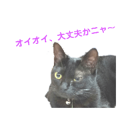 [LINEスタンプ] 次女、三女 fetchpriority=high