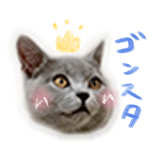 [LINEスタンプ] ゴンスタ！