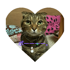 [LINEスタンプ] 猫ちゃん集合 