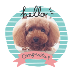 [LINEスタンプ] 我が家の愛犬モナちゃんスタンプ