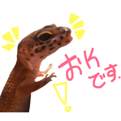 [LINEスタンプ] 結構使えるスタンプだお！