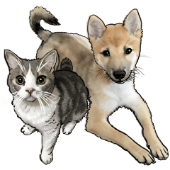 [LINEスタンプ] ぬのかわ犬猫病院スタンプ:2