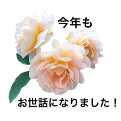[LINEスタンプ] yasuおばさんの薔薇のささやき2の画像（メイン）