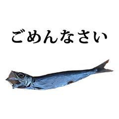 [LINEスタンプ] 煮干し と 文字