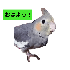[LINEスタンプ] ピースケと仲間たち 