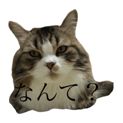 [LINEスタンプ] ジャグさんとヴァルさん