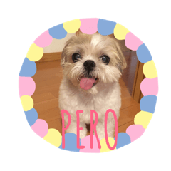 [LINEスタンプ] 毎日おペロ♡ fetchpriority=high