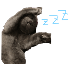 [LINEスタンプ] ぼく、かいと^._.^ 